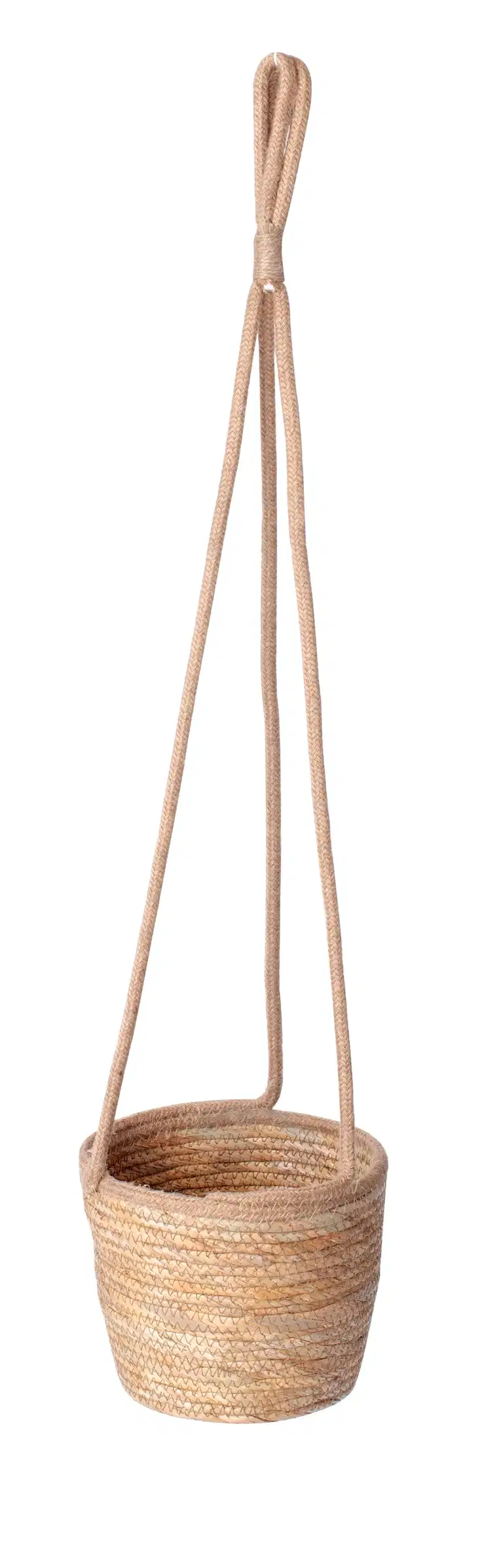 Ampelpotte Evin