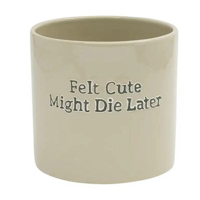 Potte Felt Cute Might Die Later 