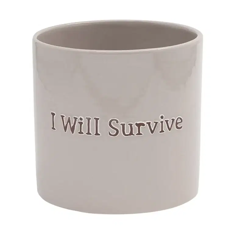 Potte I Will Survive