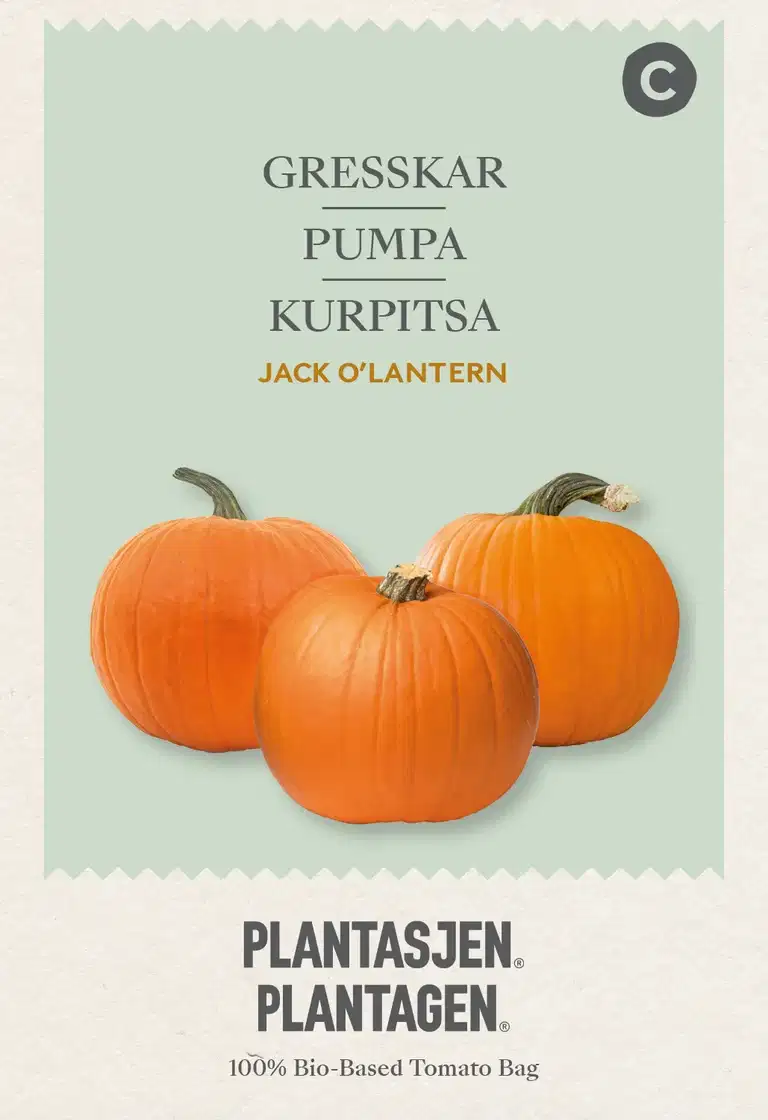 Jack O'Lantern pumpkin - 3 g