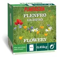 Grass Seed Flowery  NO