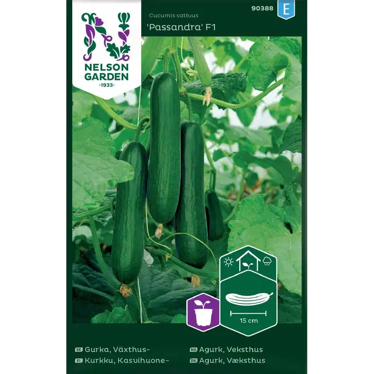 Slangeagurk 'Passandra' F1