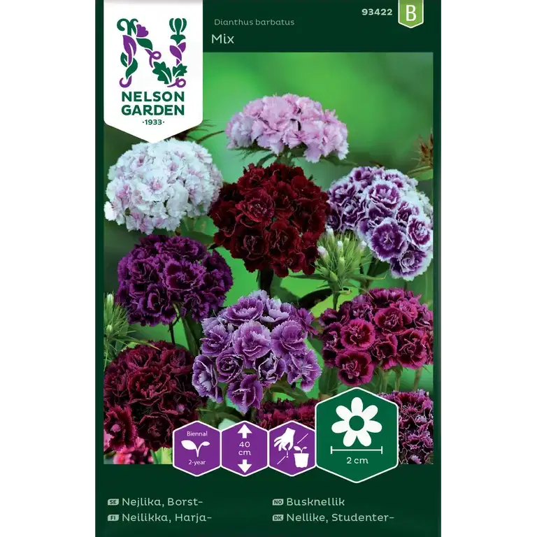 Nejlika, Borst-, Dubbel, bl fä