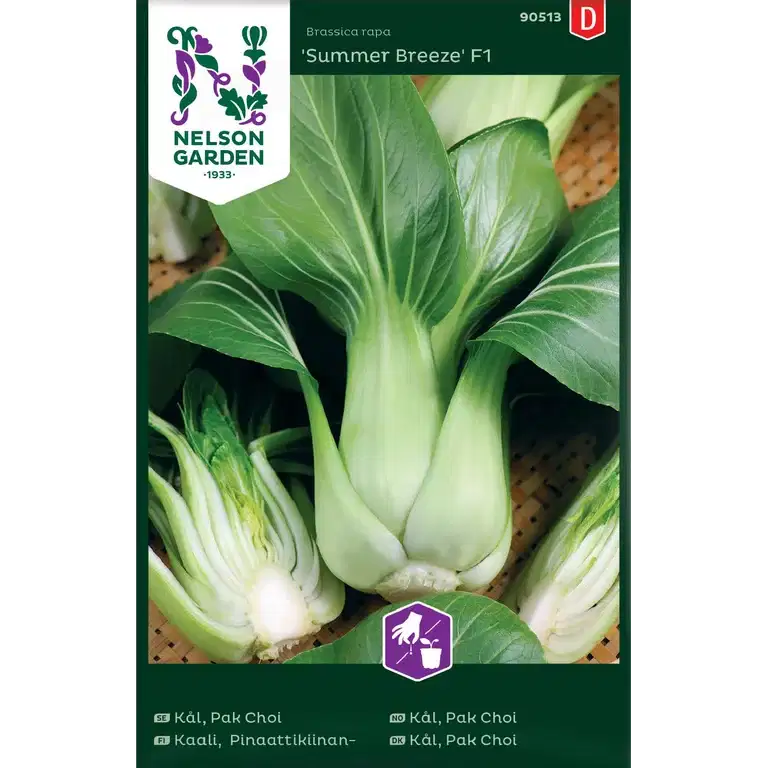 Kål, Pak Choi, Summer Breeze F
