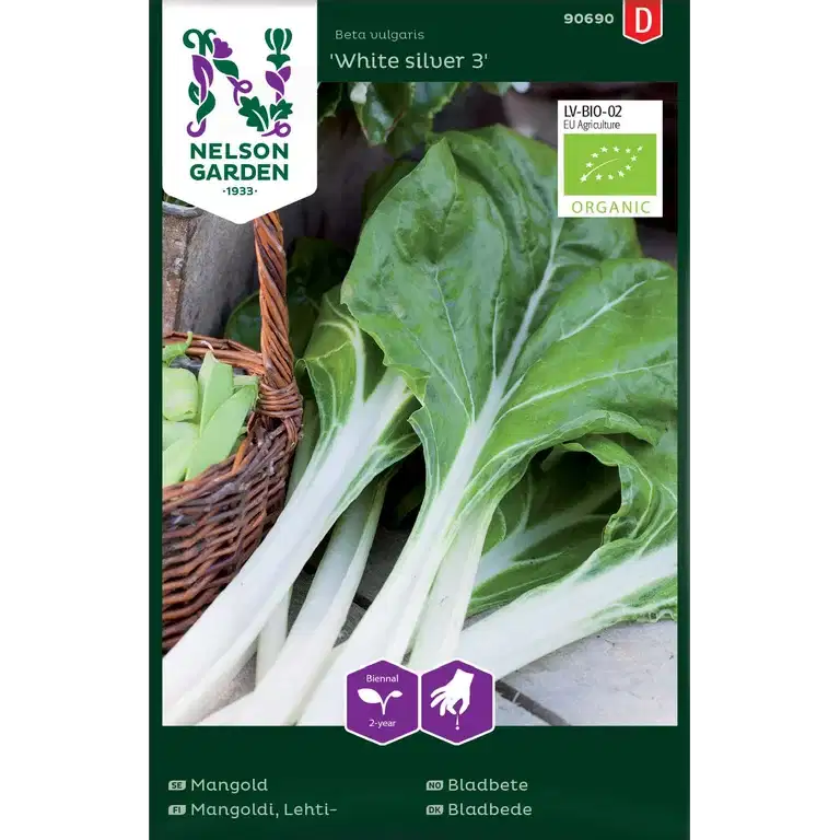 Bladbete 'White silver 3'