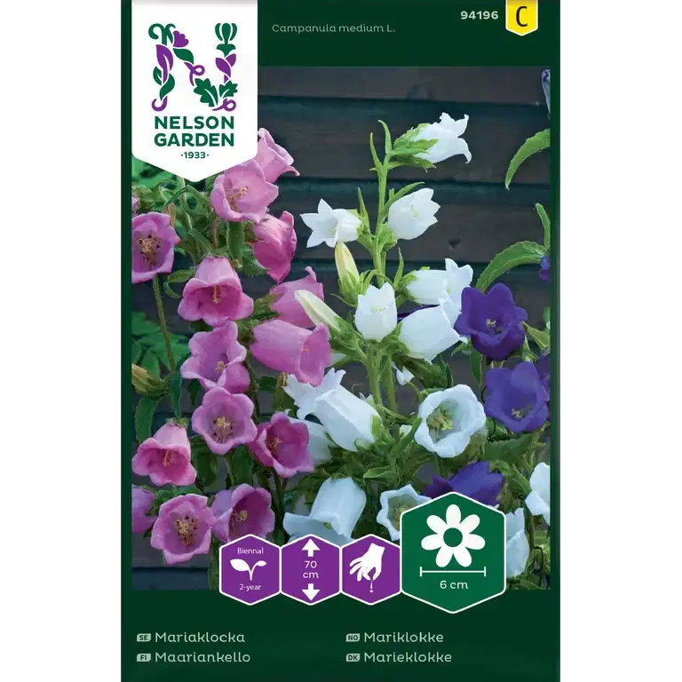 Mariaklocka, Enkel, bl färger