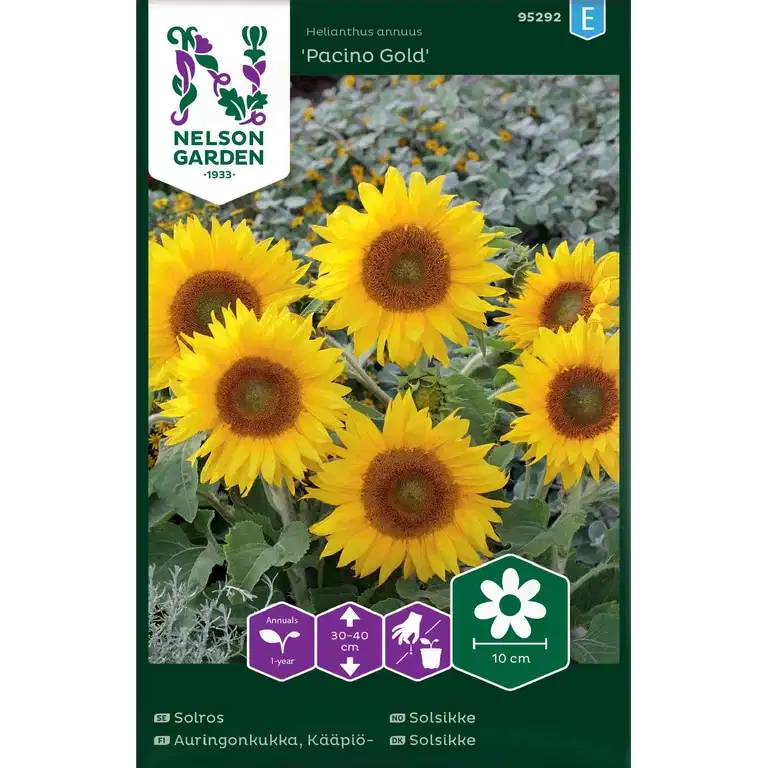 Solsikke 'Pacino Gold'