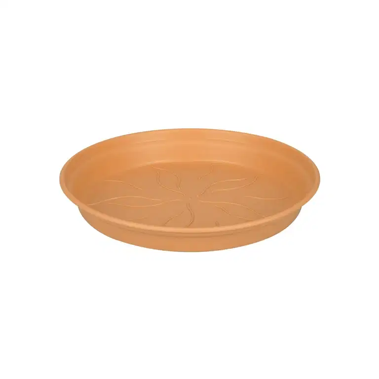 Saucer Green Basics