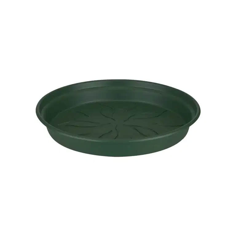 Fat Green basics