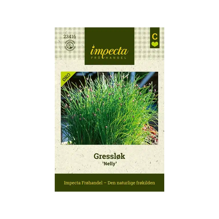 Gressløk 'Nelly'