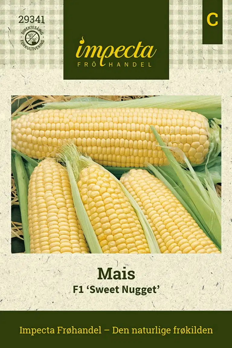 Mais F1 'Sweet Nugget'
