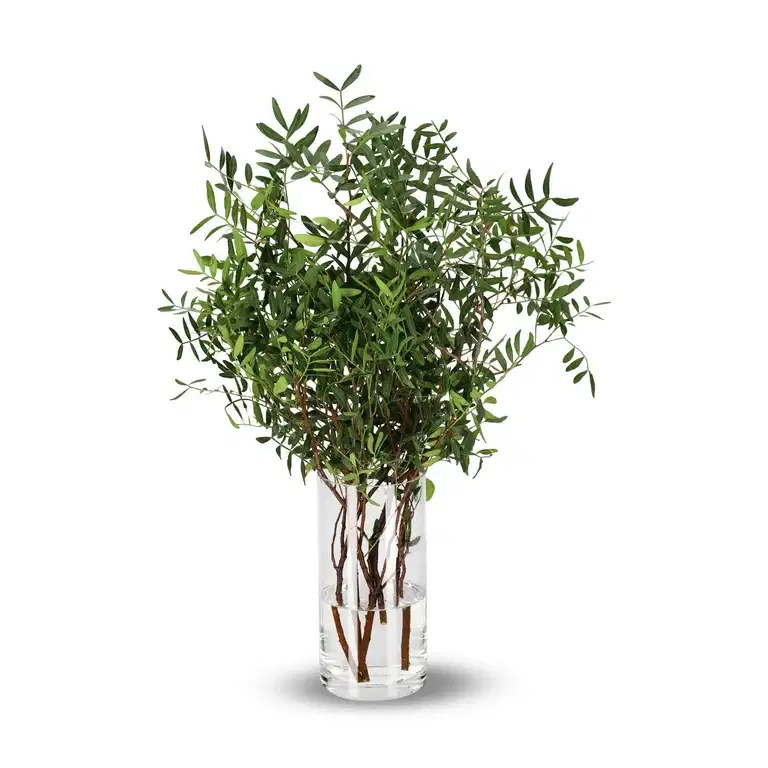 Pistache 50cm 5pk YR