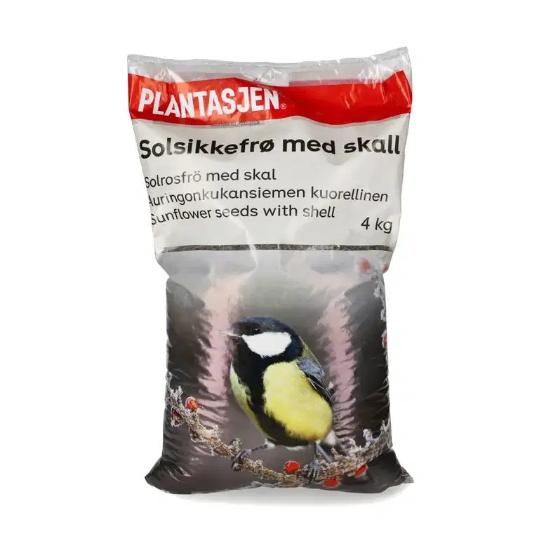 Solsikkefrø med skall