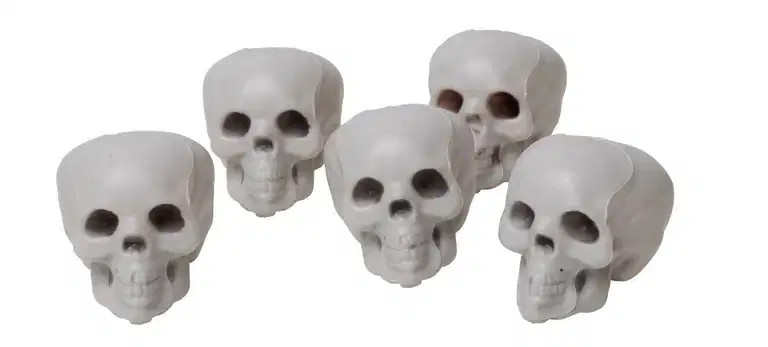 Halloweendekorasjon Hodeskaller