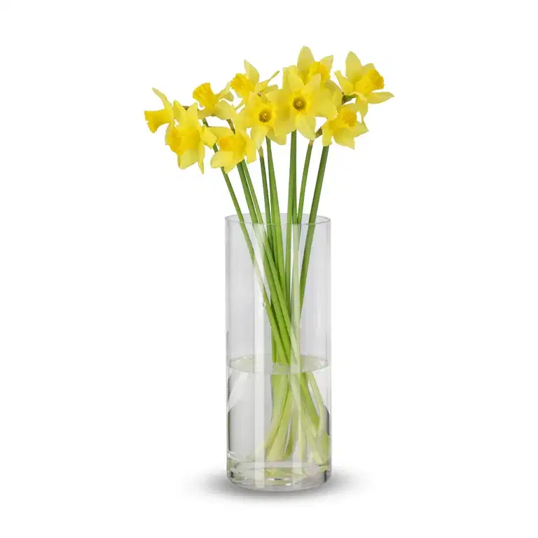 Narcis Carlton 10pk Easter