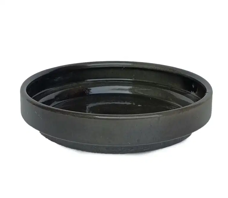 Saucer K&C