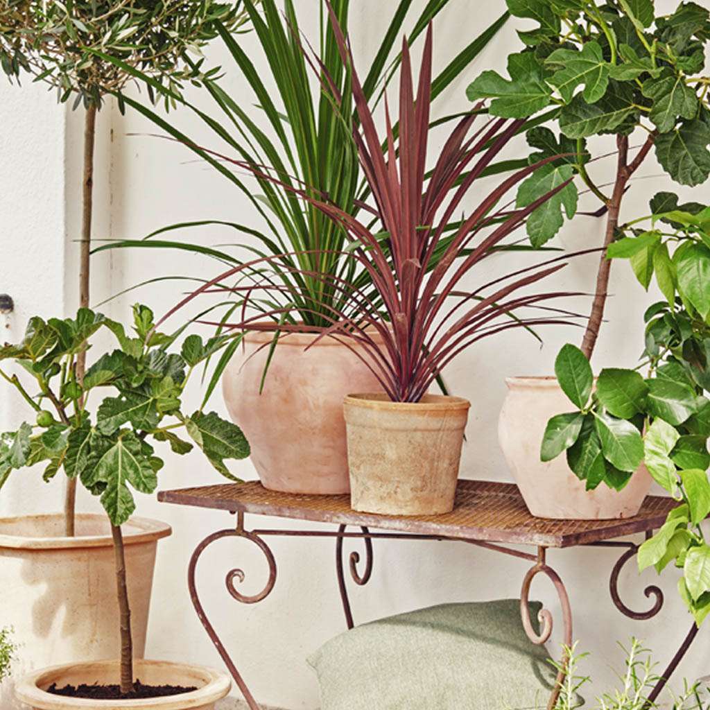 Uteplanter