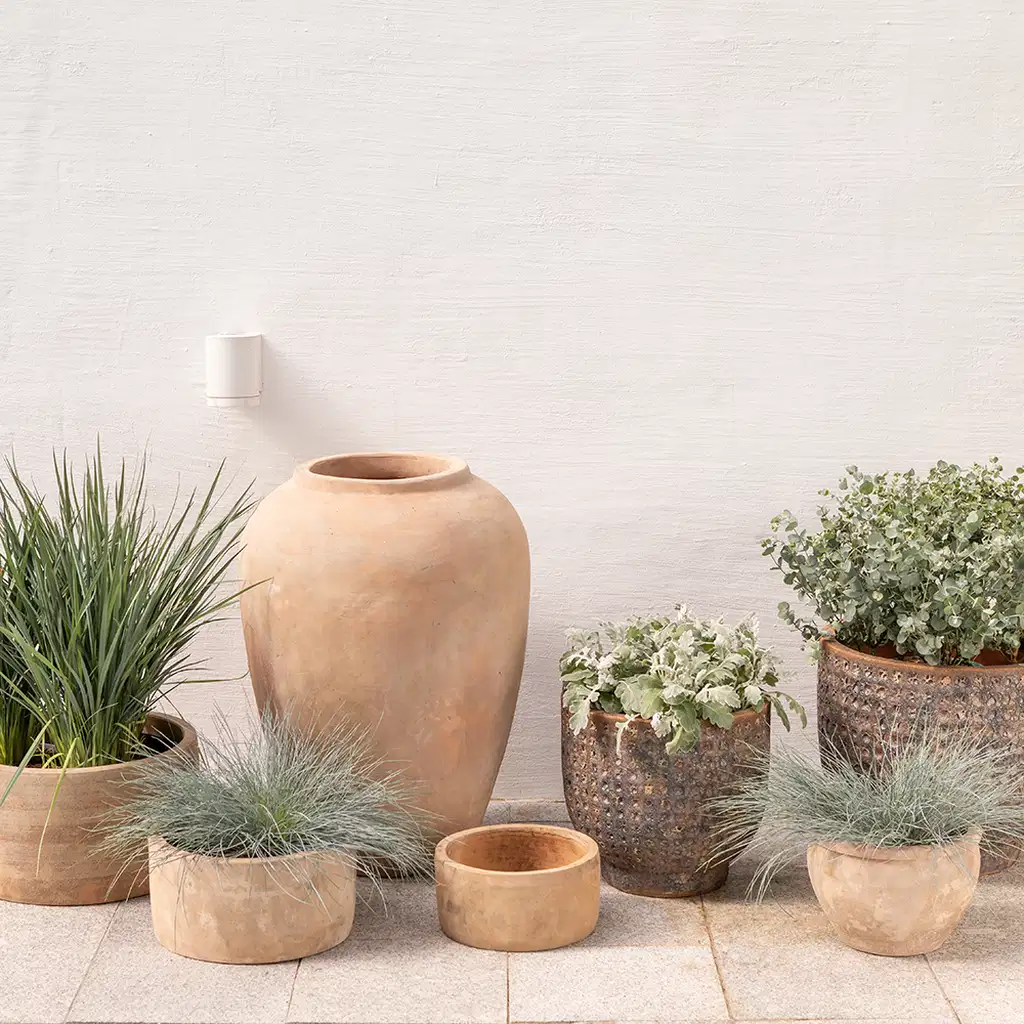 Terrakottapotter - bra for planter og miljø