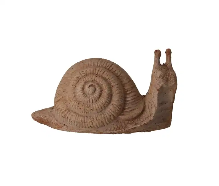 Dekorasjonssnegle Lumaca