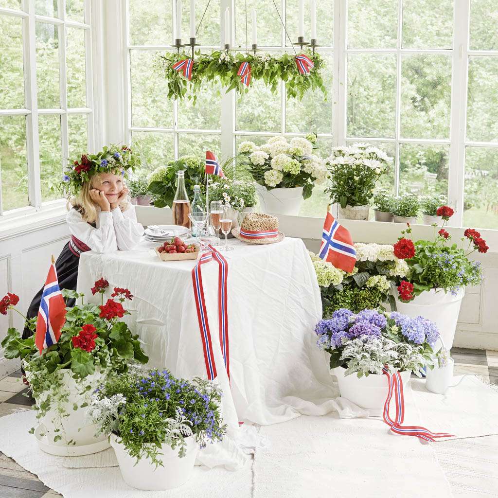 Image of Alt til 17. mai