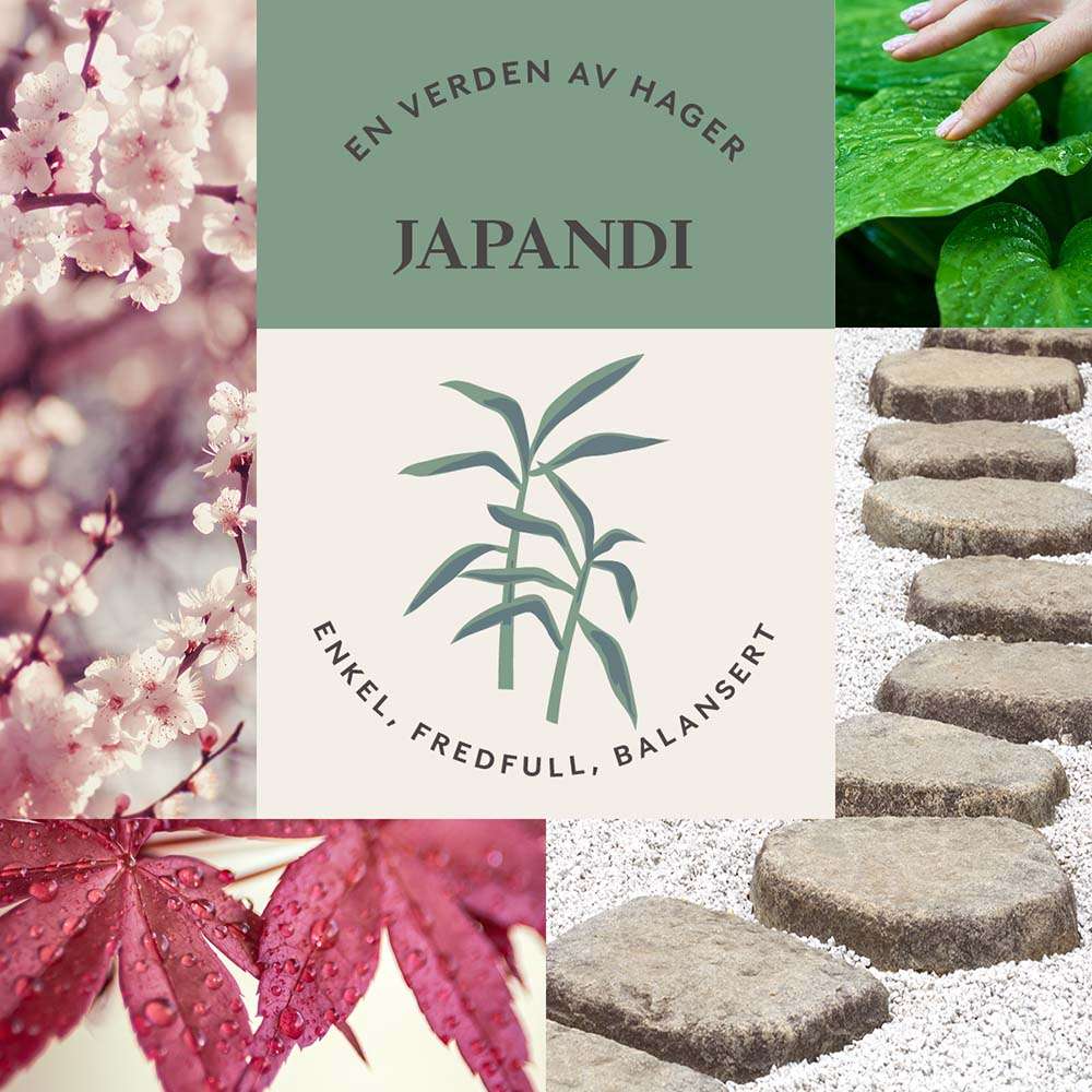 Enkel, fredfull og balansert