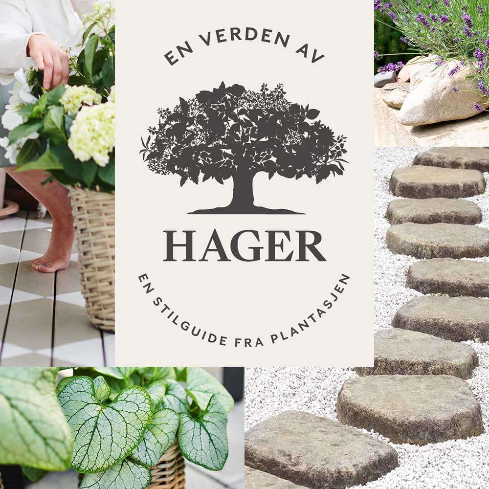 En verden av hager - en stilguide fra Plantasjen