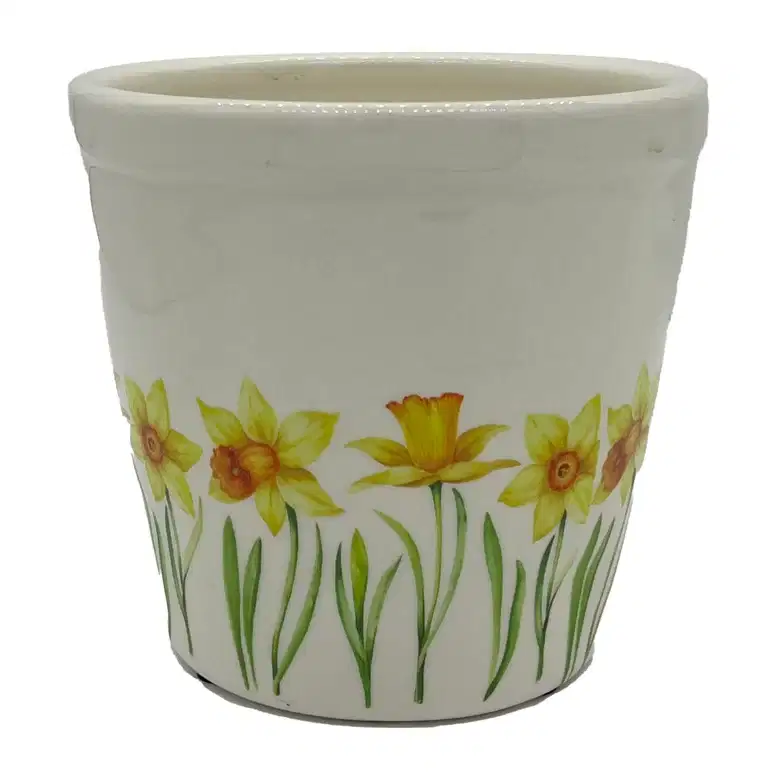 Pot Daffodil 