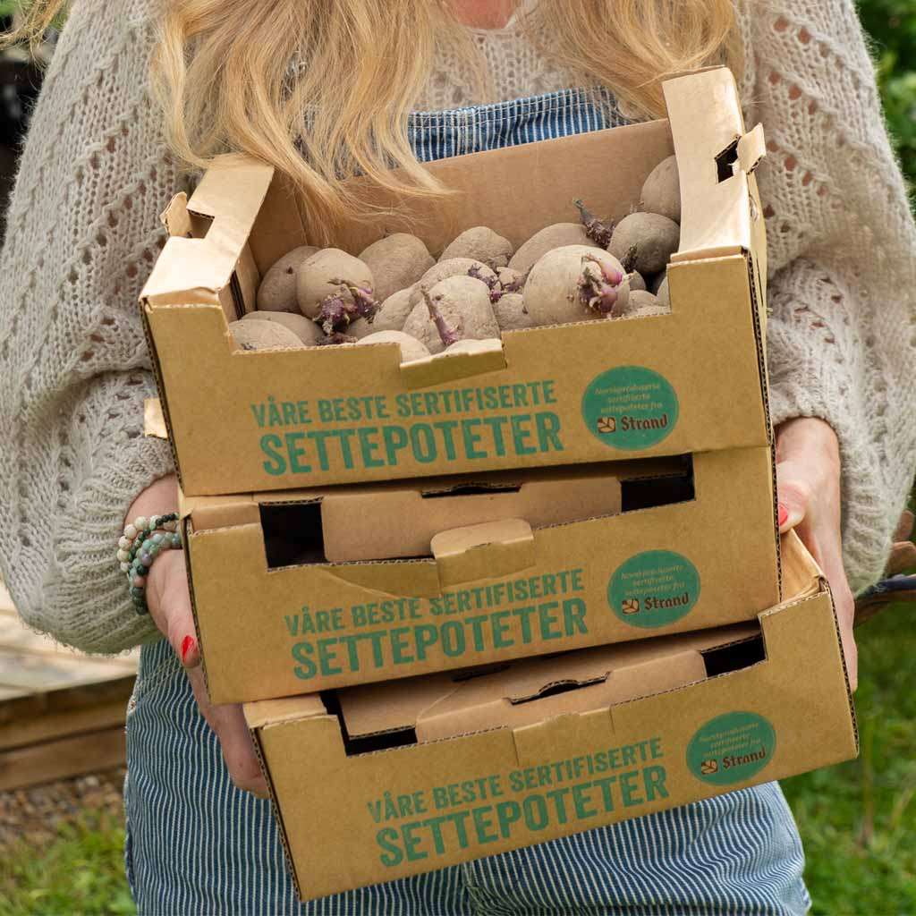 Image of Settepoteter