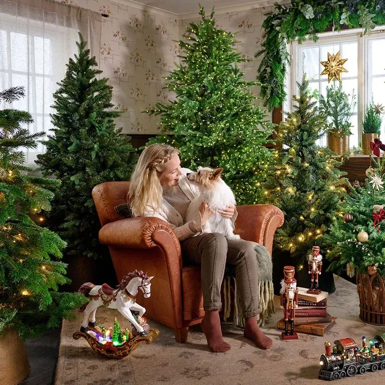 Which Christmas tree should you select?