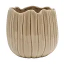 product variant