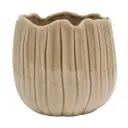 Pot Nella 