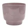 Pot Eda 