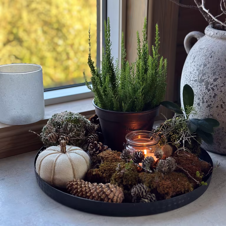 Novent – kos og hygge mens vi venter på advent 