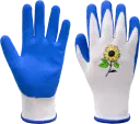 Hagehanske junior solsikke
