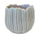 product variant