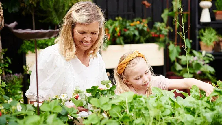 Juli – dette kan du så og dyrke
