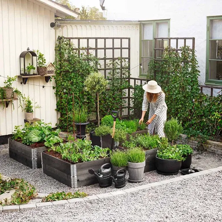 Lage kjøkkenhage – slik lykkes du