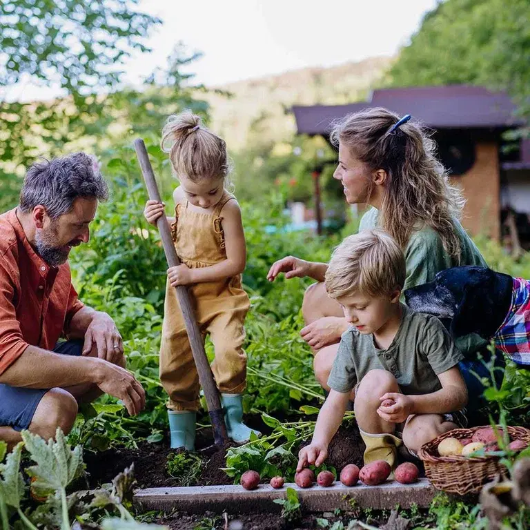 Get started with emergency gardening