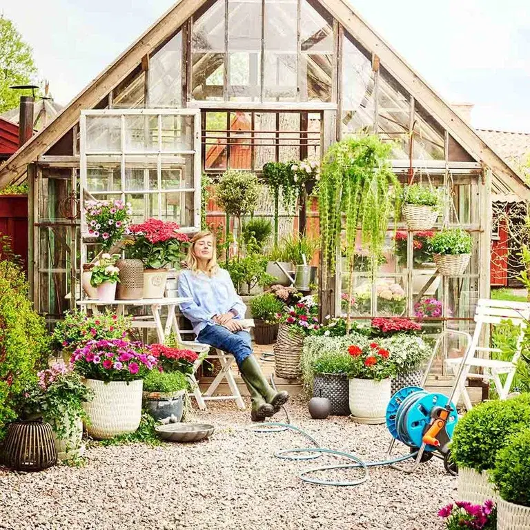 Greenhouses – everything you need to know