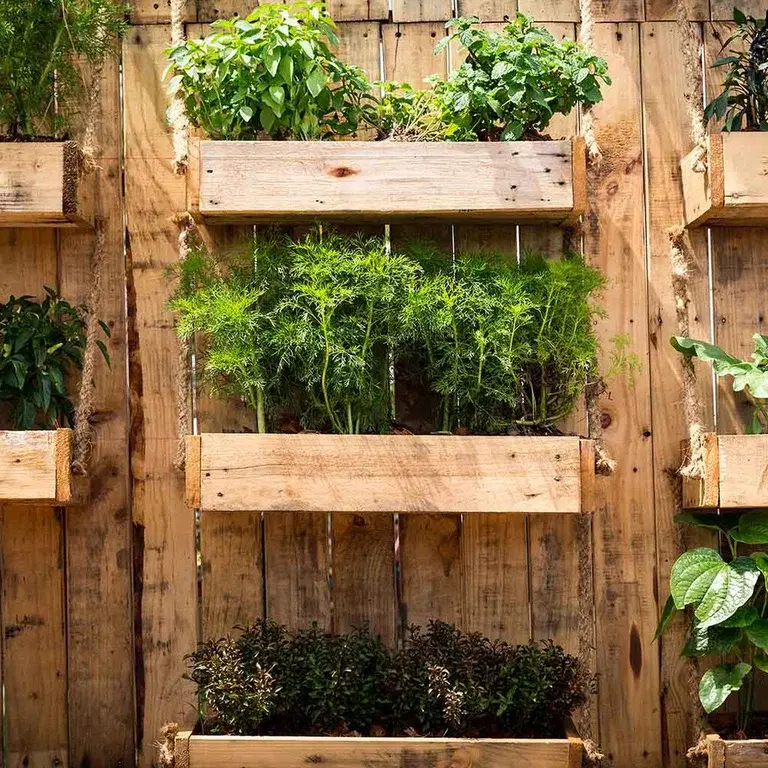 Vertikal dyrking – dyrk i høyden og spar plass