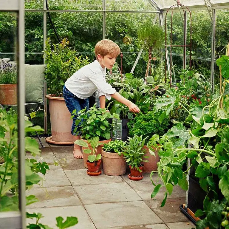 Barnas egen planting
