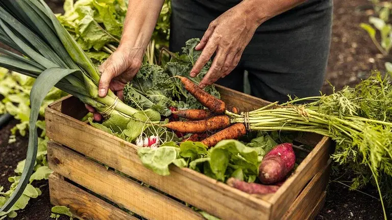 This is how you store what you have grown