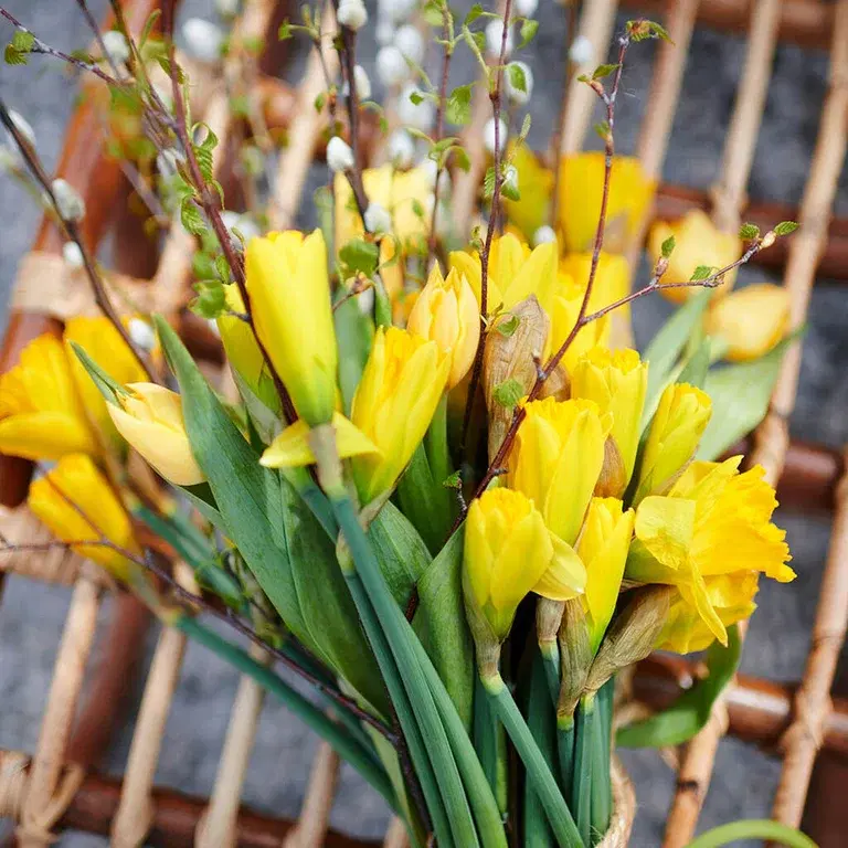 Påskelilje på tre måter