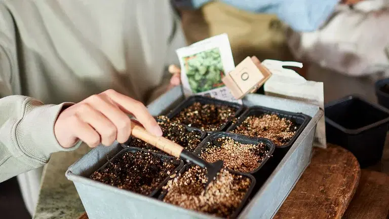 Januar – dette kan du så og dyrke 