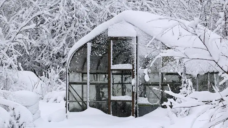 Februar – dette kan du så og dyrke 