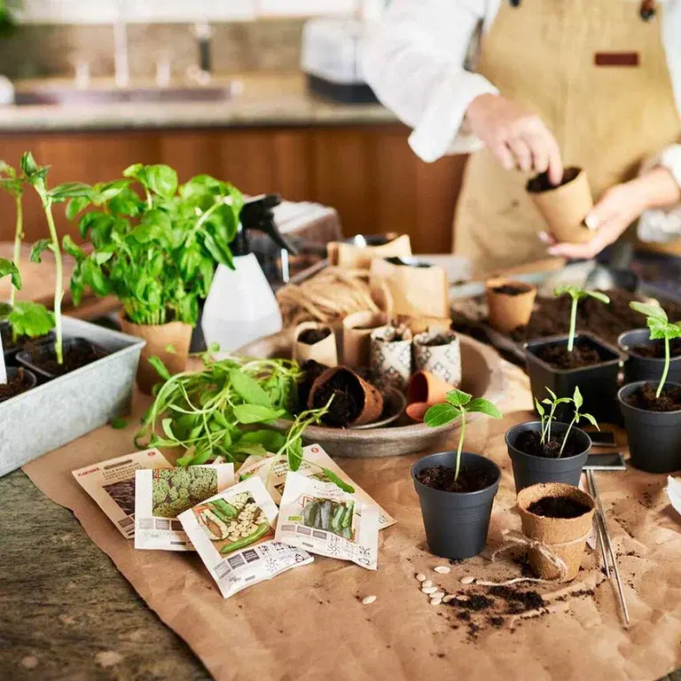 Forkultivering – hva slags utstyr trenger du? 