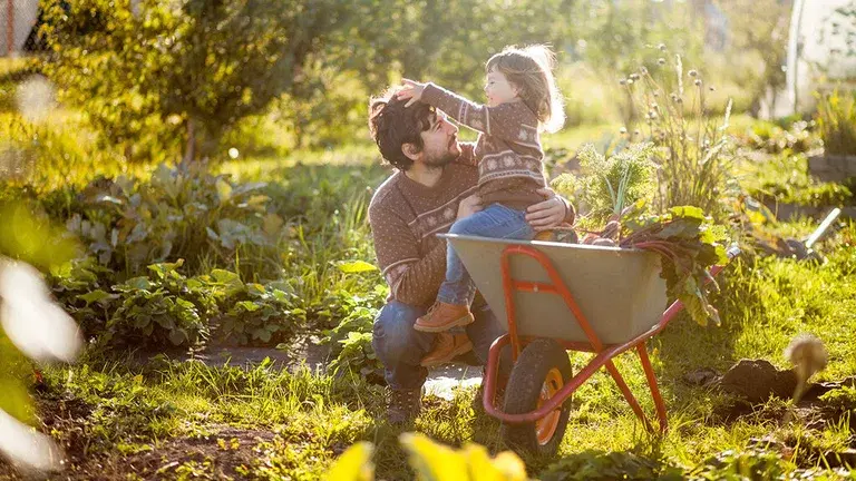 September – dette kan du så og dyrke
