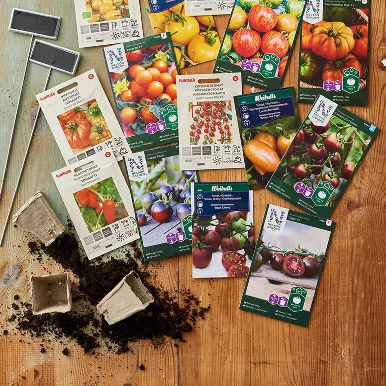 Seed school – sowing from seeds indoors