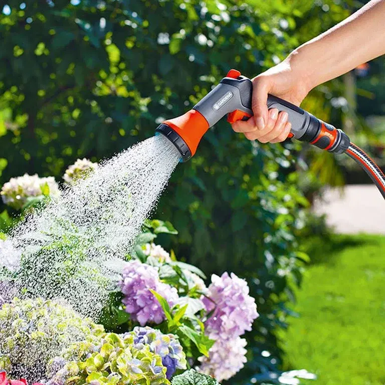 Ten golden rules for watering