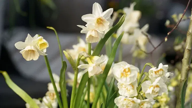 Spring is here – this is what you can do now